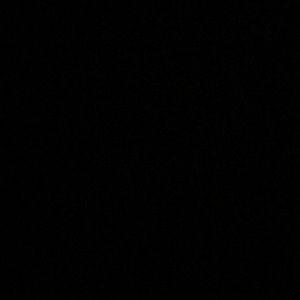 Meet your Posher, Cheyenne